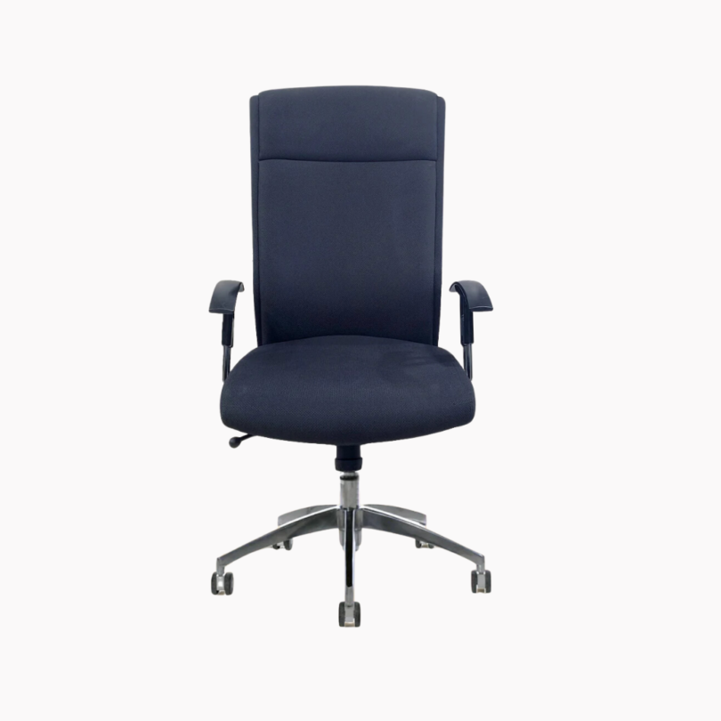 Classy Ergo Medium back chair (sold out)