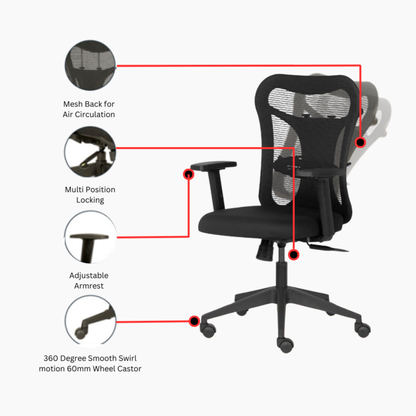 Classy Fuse Medium back - Image 2