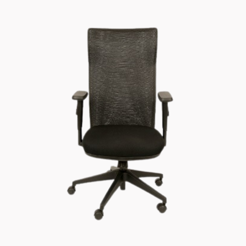 E Web Medium Back chair